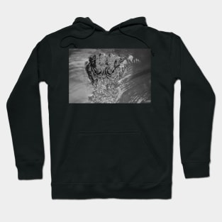 Close up of a black and white Alligator Hoodie